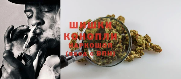 скорость Каменка