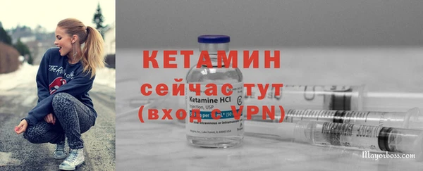 скорость Каменка