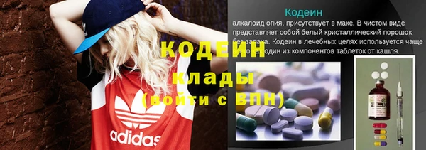 скорость Каменка