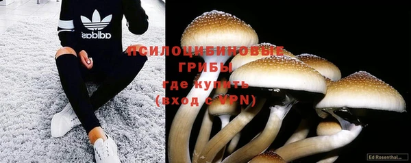 амф Каменногорск