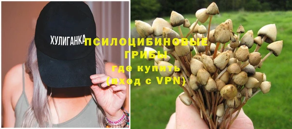 скорость Каменка
